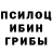 Псилоцибиновые грибы Cubensis NARENDRA Aqzel