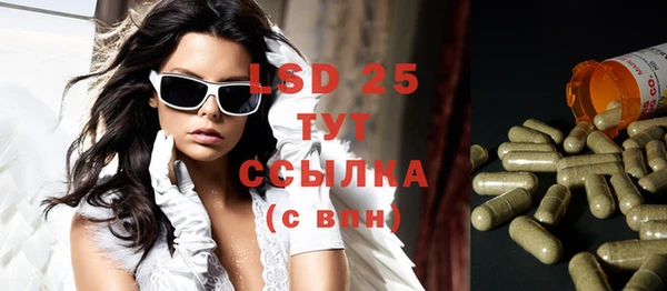 сатива Ельня
