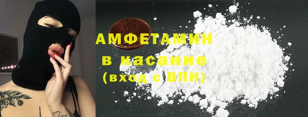 сатива Ельня