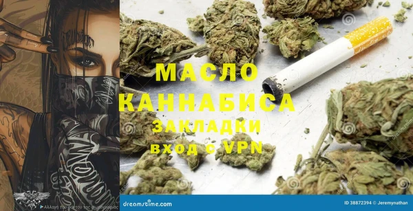 прущие грибы Елизово