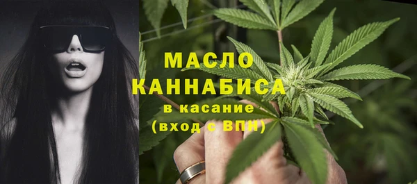 сатива Ельня
