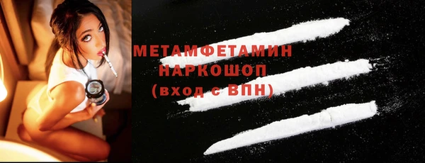 сатива Ельня