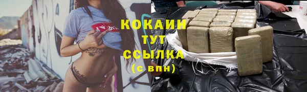 сатива Ельня
