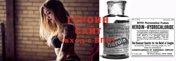 сатива Ельня