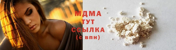 сатива Ельня