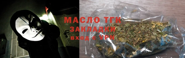 сатива Ельня