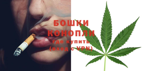 прущие грибы Елизово