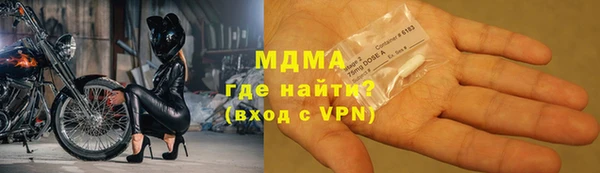 прущие грибы Елизово