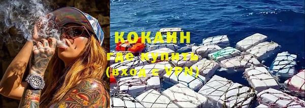 сатива Ельня