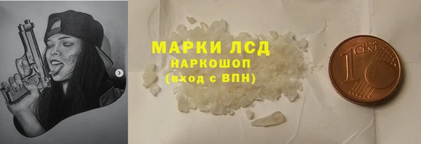 сатива Ельня