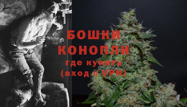 прущие грибы Елизово