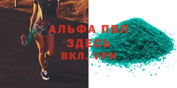 прущие грибы Елизово