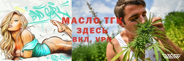 сатива Ельня