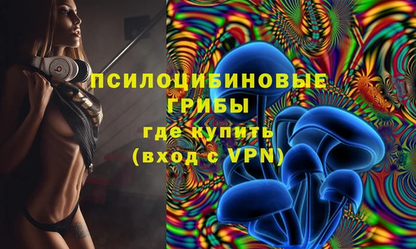 сатива Ельня