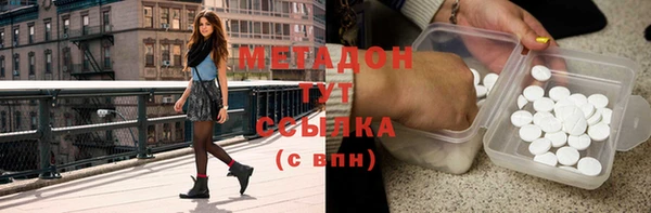 сатива Ельня