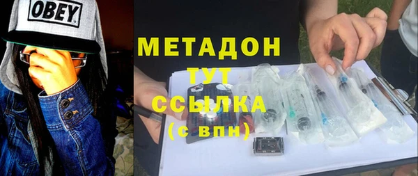 прущие грибы Елизово
