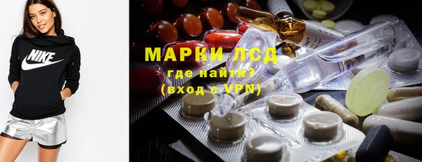 прущие грибы Елизово